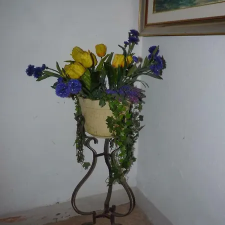 公寓 Palazzo Del Provveditore T02294 *